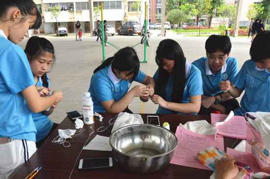 1526367106109515.jpg DSC_8824_副本.jpg